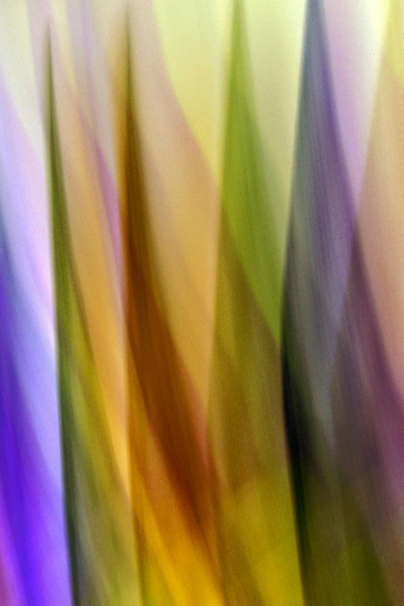 color schemes